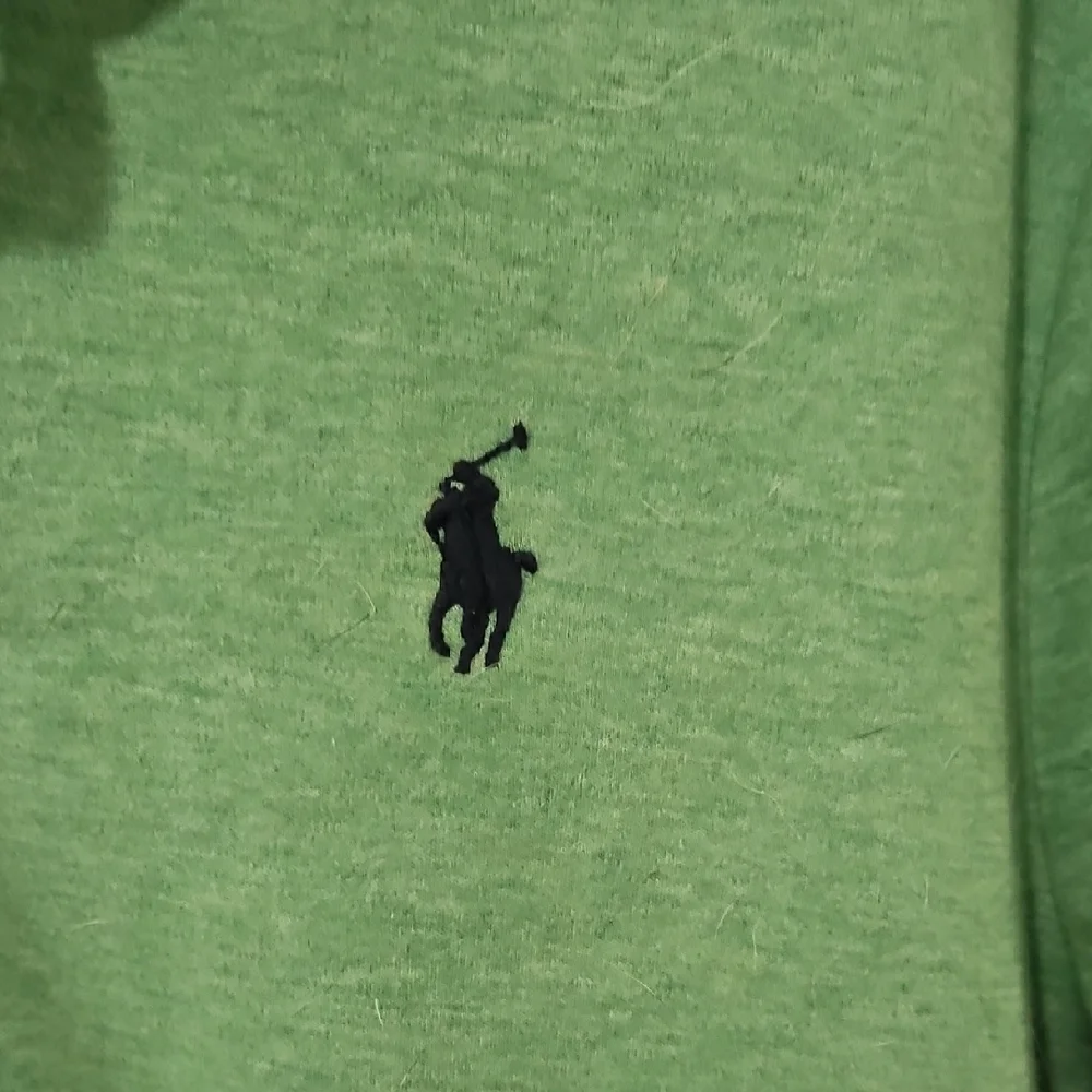Polo by Ralph Lauren Men's Mint‎ Polo Shirt